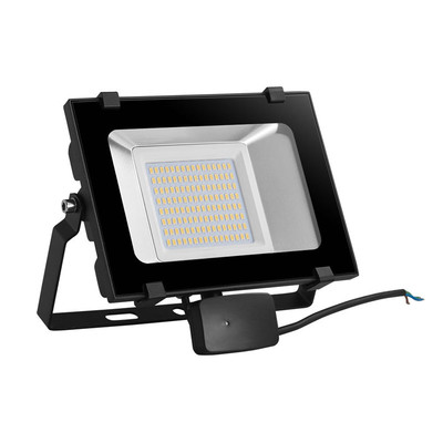 50W LED Auenstrahler D6 Serie 3000/6000K IP65 6.000lm 120 BM